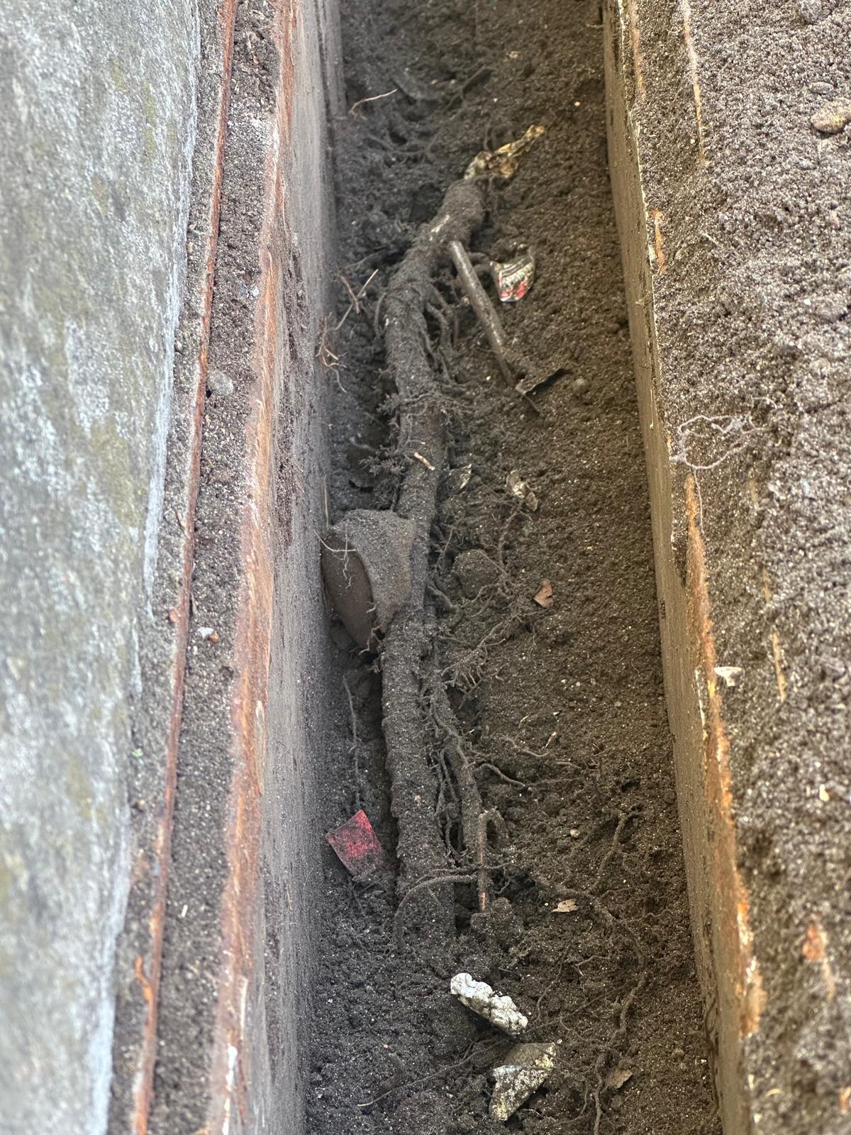 Tree root intrusion removed from drains near Epping and Epping Forest